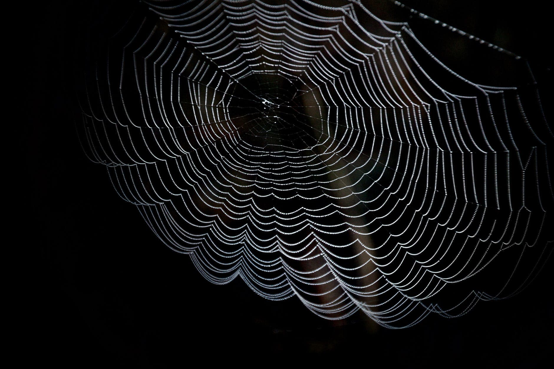 How the Web Works